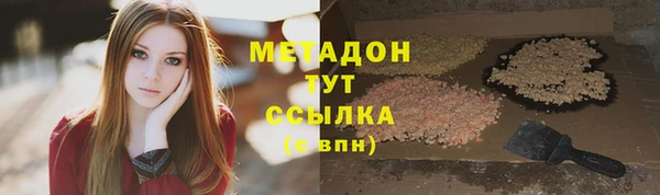 прущие грибы Беломорск