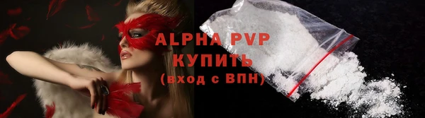 прущие грибы Беломорск