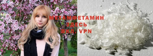 прущие грибы Беломорск