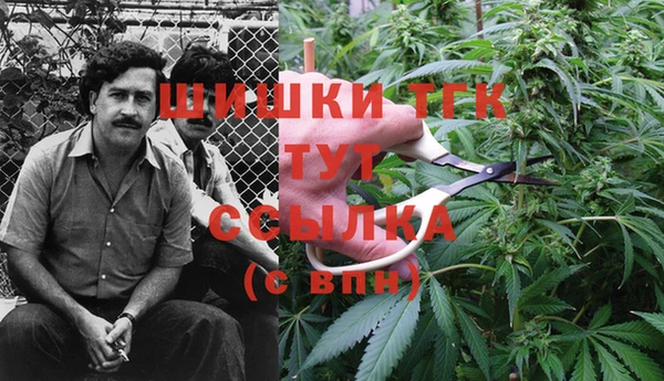гашик Белоозёрский