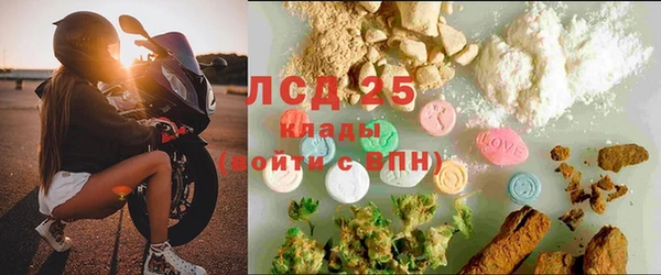 прущие грибы Беломорск