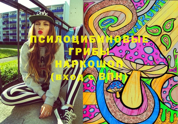 гашик Белоозёрский