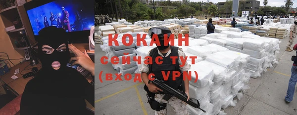 эйфоретик Богданович