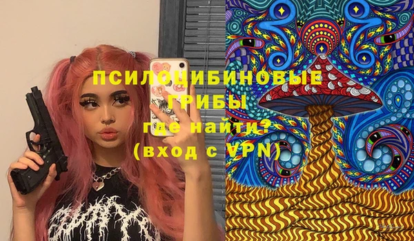 гашик Белоозёрский