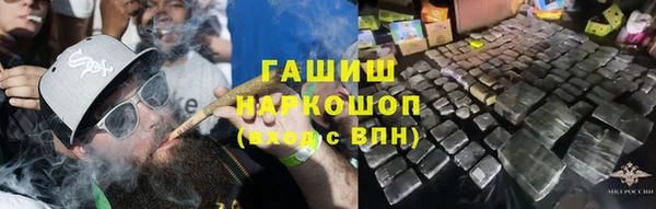 эйфоретик Богданович