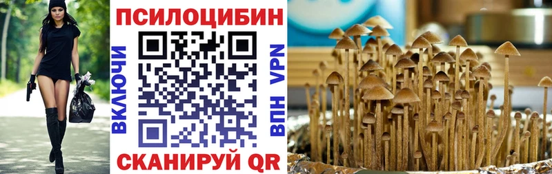 мега зеркало  купить наркотик  Буйнакск  Псилоцибиновые грибы MAGIC MUSHROOMS 